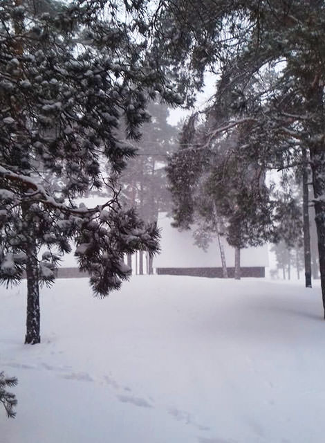 ВРЕМЕНА ГОДА